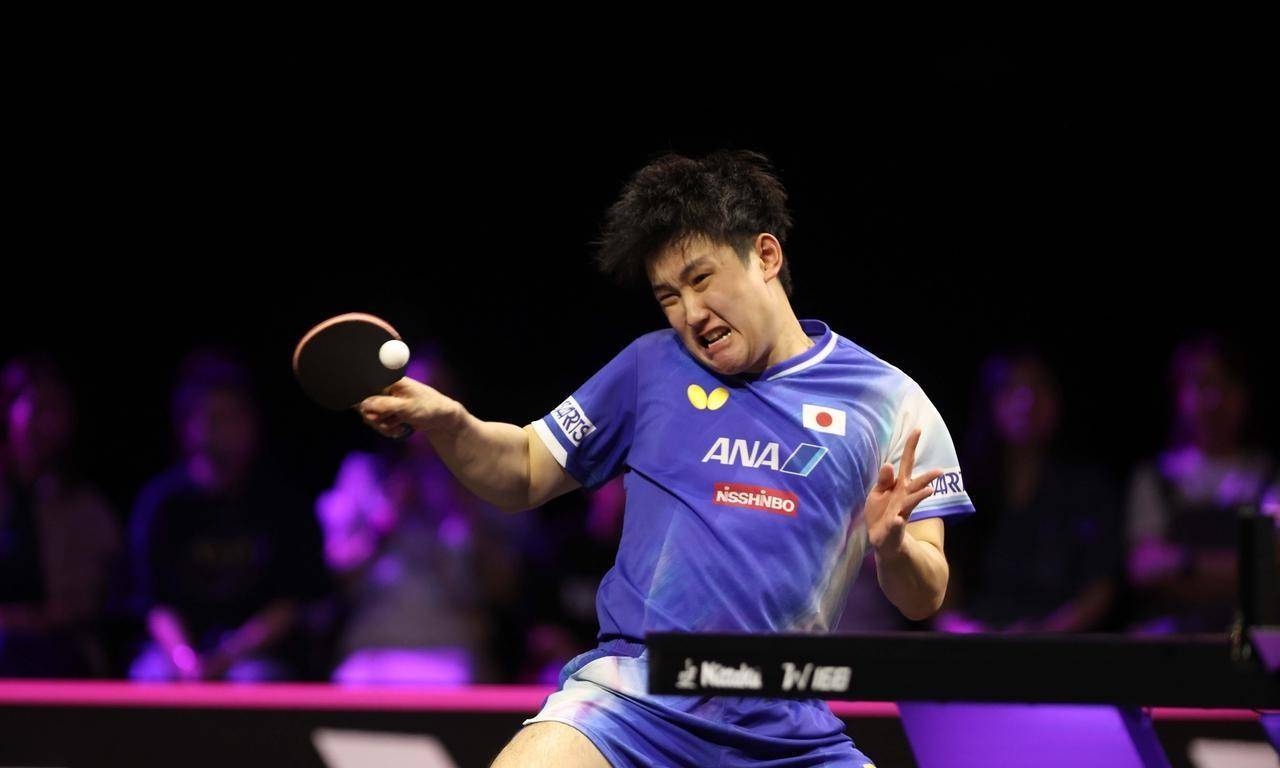 瑞典队完胜英格兰队，张本智和扛起全队的简单介绍