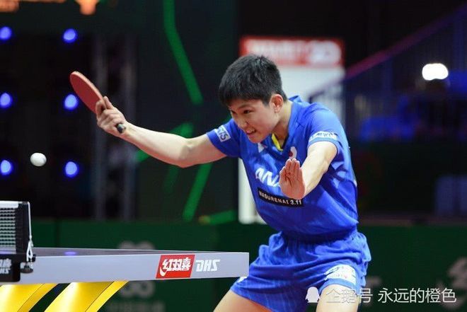 瑞典队碾压波兰队，张本智和点燃赛场