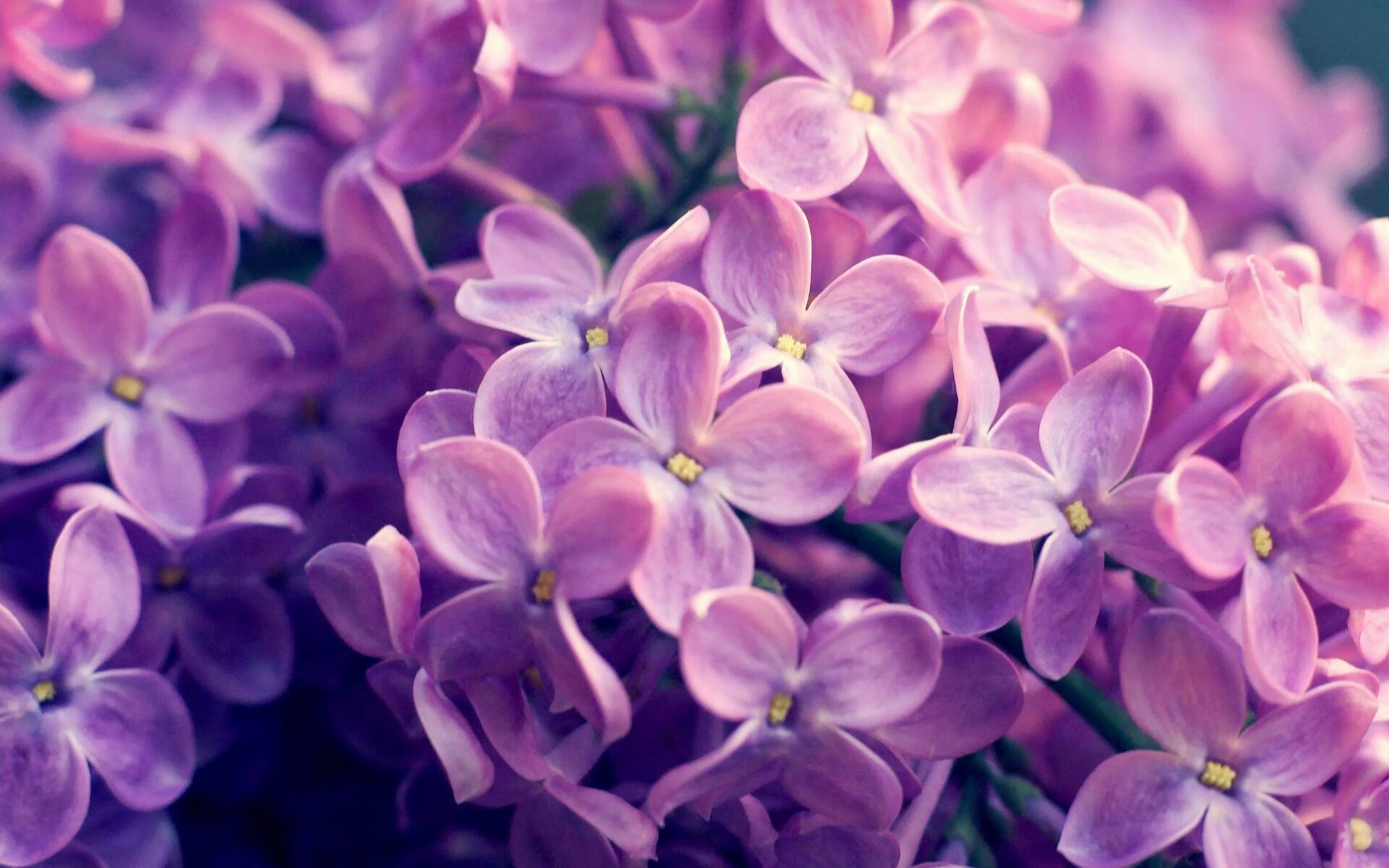 钢铁防线撞上金色钥匙，加维一人撬动拜仁对乌克兰的窒息锁链