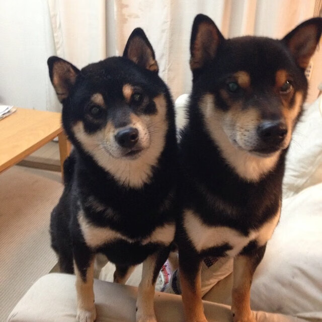 一场比赛，两种视角，山西队拿走胜利，米切尔带走所有聚光灯