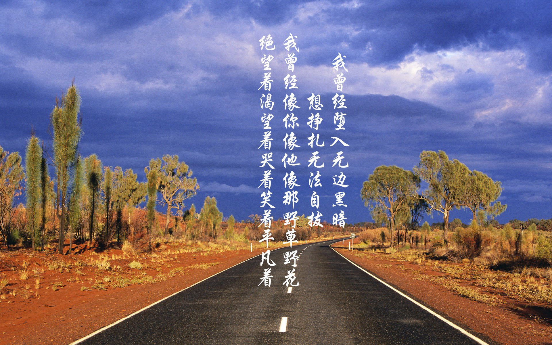 红白征服者，2026世界杯史诗之夜—奥地利踏平几内亚，马丁内利接管比赛