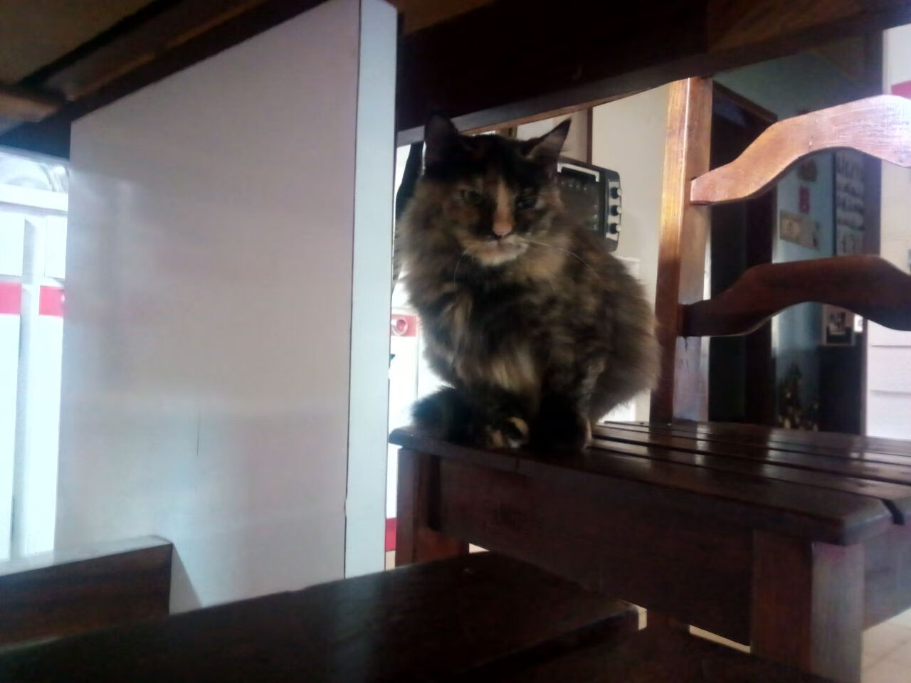 波兰炮弹，维尼修斯领舞，贝蒂斯败走麦城