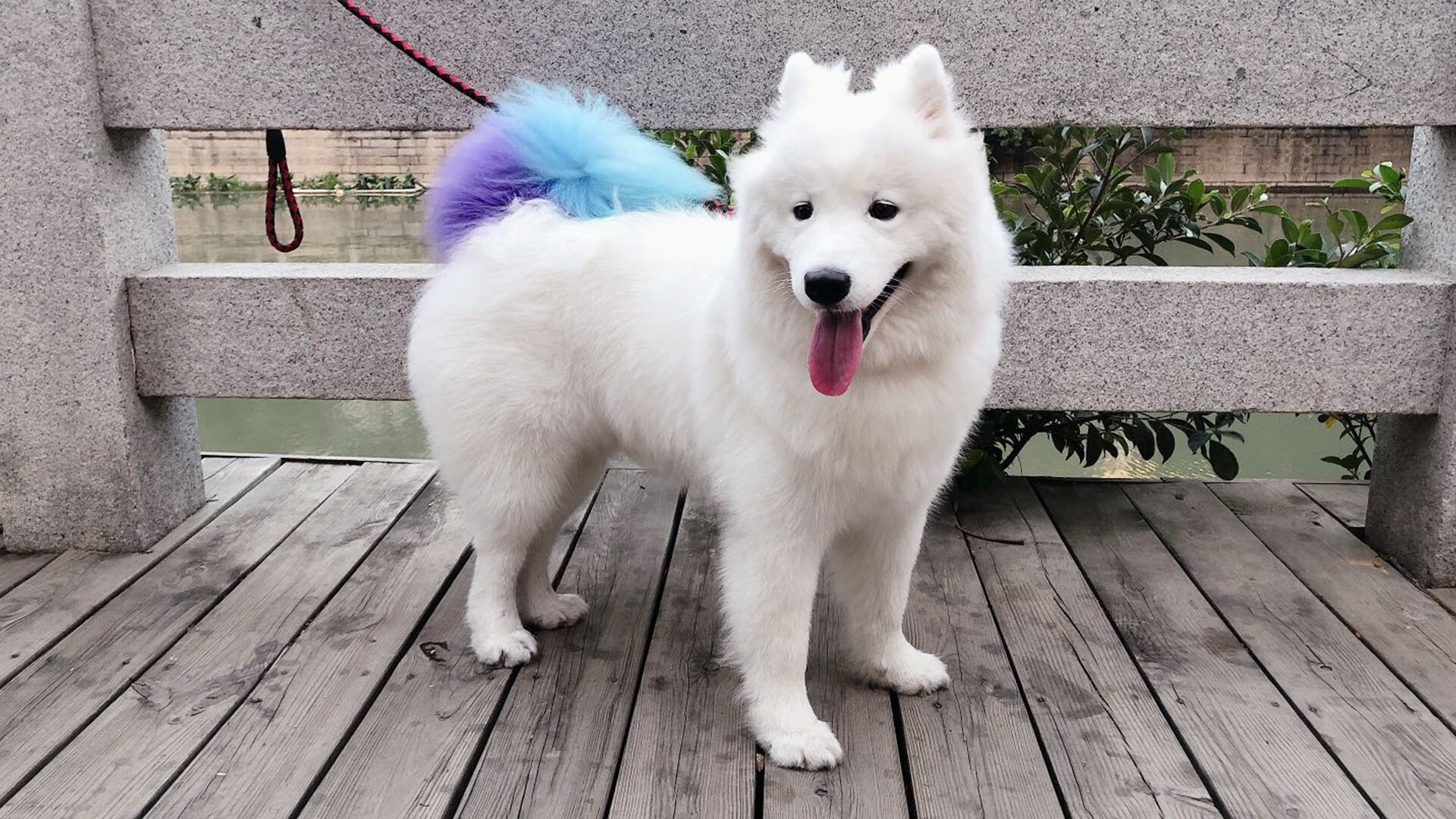 降维打击,厄瓜多尔3-0马竞—那场不存在的欧冠焦点战