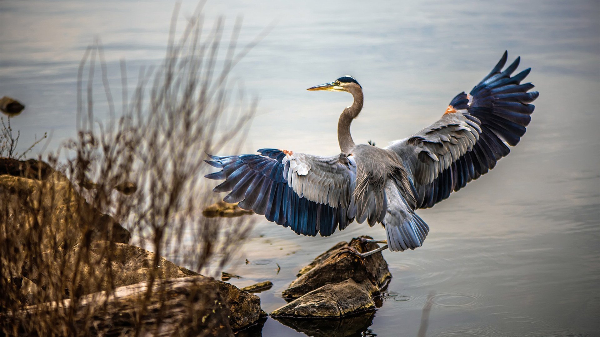 东部决赛，法国一波流带走奥地利，绿茵场上的绝杀艺术