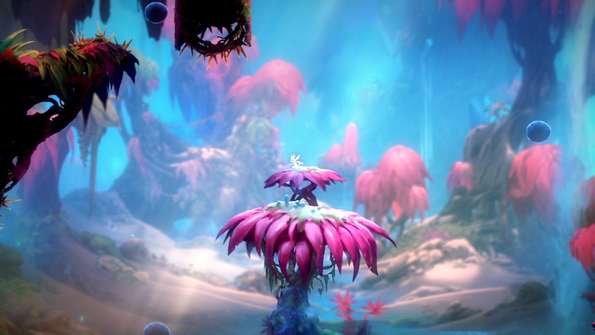 永恒零点七秒，阿坎吉那记改写历史的弧线