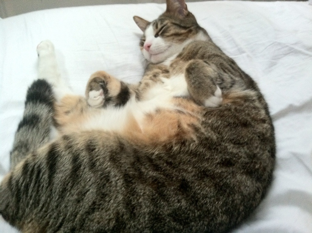 云端对决，地面核心，萨内如何用跑动编织胜负之网