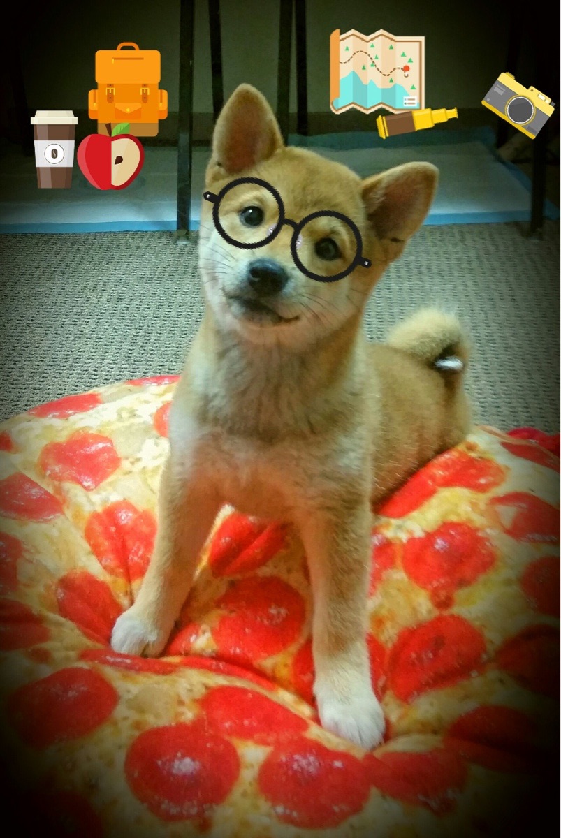 跨界风暴，中国军团打穿波兰铁壁，格列兹曼梦幻接管F1年度争冠赛