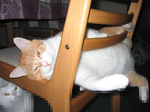 当F1引擎在巴林轰鸣，詹姆斯在洛杉矶定义超级驾驶