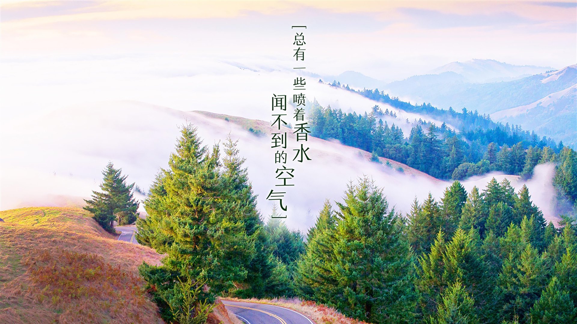 跨界王者,从火箭横扫活塞到世界杯接管,保罗的双重领导力