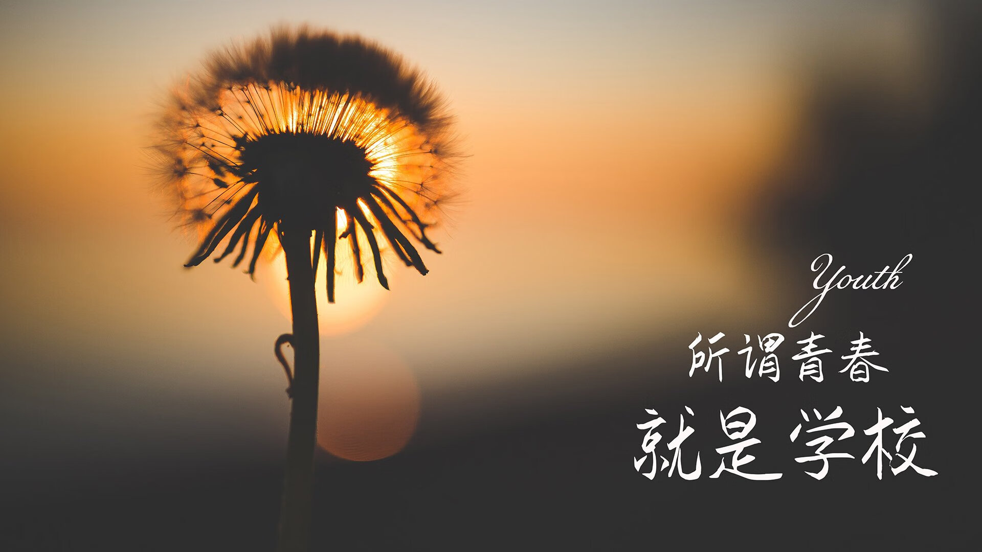 铁血逆转与东亚之光，当塞尔维亚的钢铁洪流撞上孙兴慜的孤胆雄心—2026世界杯A组死亡序幕