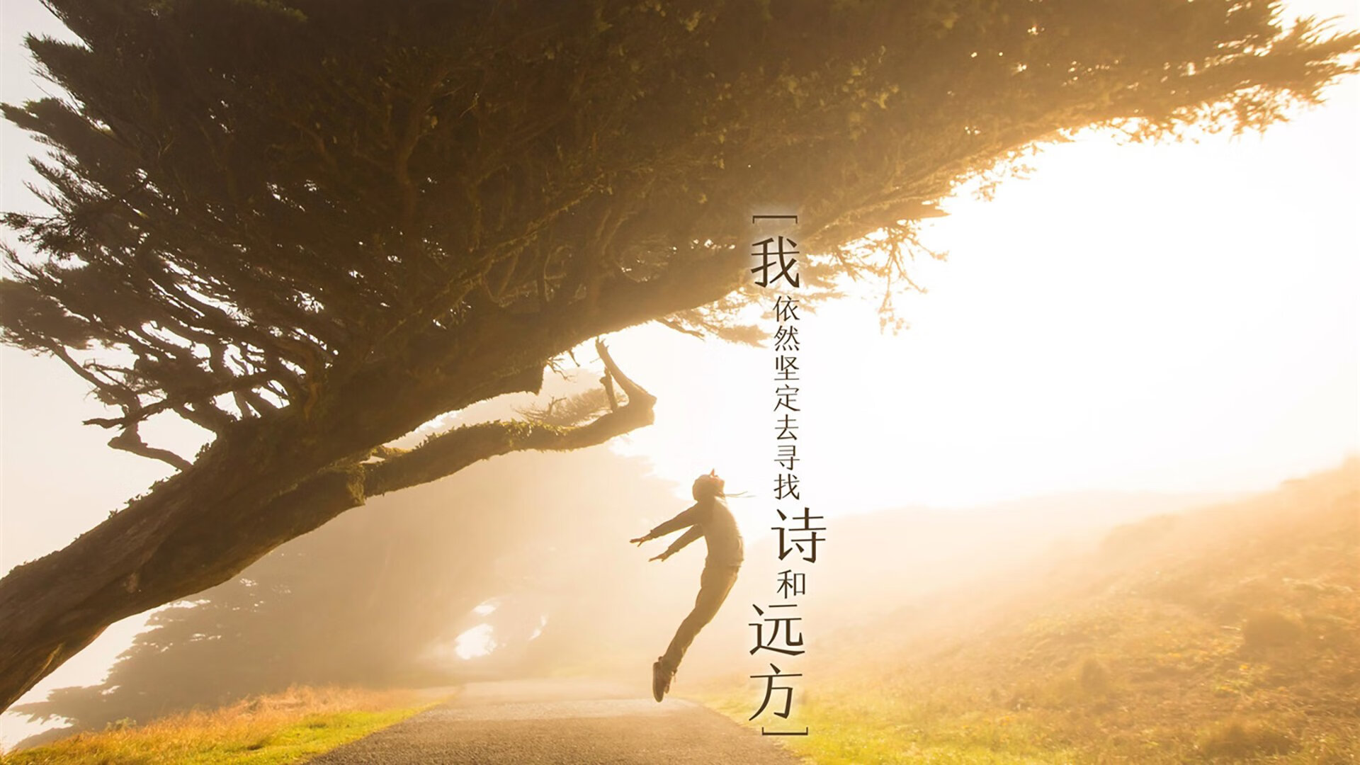 冰火奇谋，罗德里戈的临场神算，如何让冰岛在2026世界杯E组焦点战中融化瑞士？
